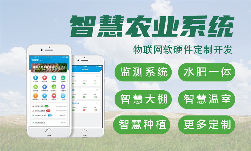 杭州物联网单片机开发解决方案：如何用专业服务破解硬件研发难题