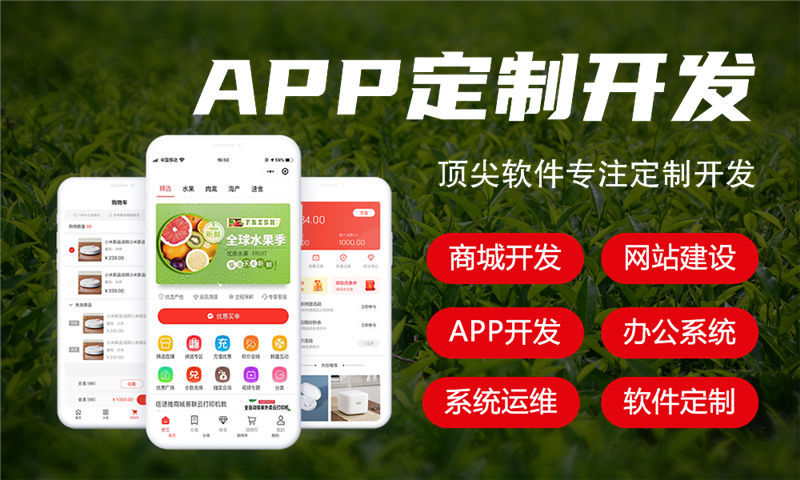 深圳广州三三复制公排系统软件开发解决方案 助力企业实现高效运营与数字化转型