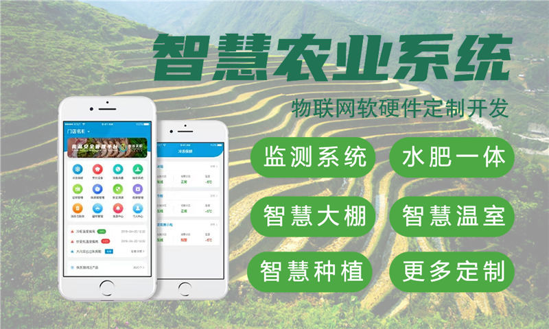 南京智能硬件固件开发解决方案：高效降低研发成本的物联网单片机开发服务