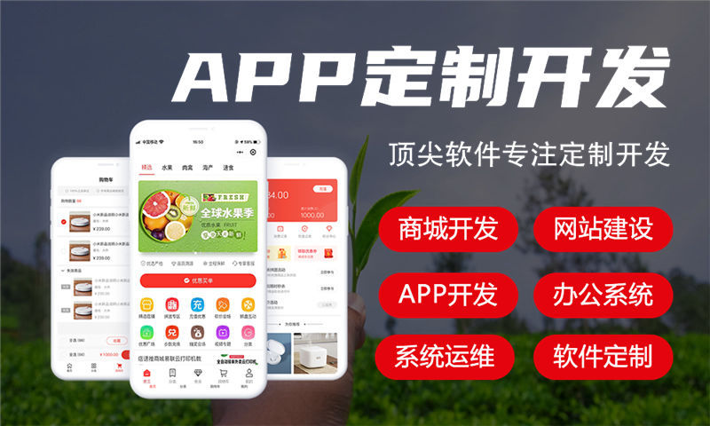 北京企业数字化转型利器：二二复制公排滑落商城模式软件开发解决方案
