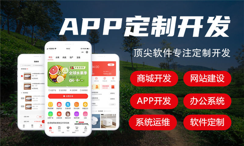 东莞久鼎私域系统小程序开发与搭建解决方案：助力企业数字化转型