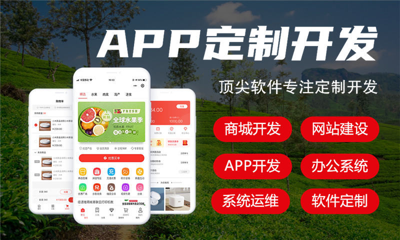 青岛排队免单商城模式（软件模式）开发解决方案：助力企业数字化转型的利器