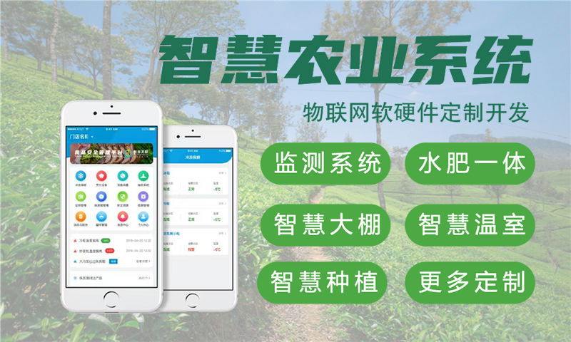 南通企业如何高效完成物联网单片机智能硬件开发？专业嵌入式项目开发服务解难题