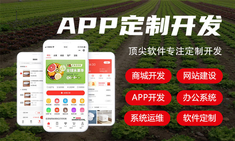 武汉企业如何高效落地二二复制公排系统（商城系统）？专业开发方案助力数字化转型