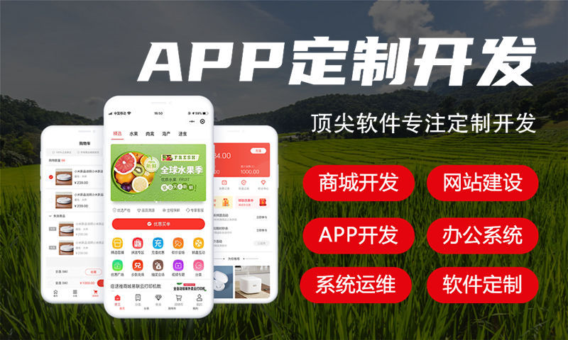 武汉全域购系统5.0商城小程序开发软件：助力企业高效实现数字化转型