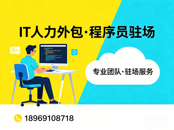 合肥IT人力外包解决方案：程序员驻场开发团队如何破解企业技术人才困局